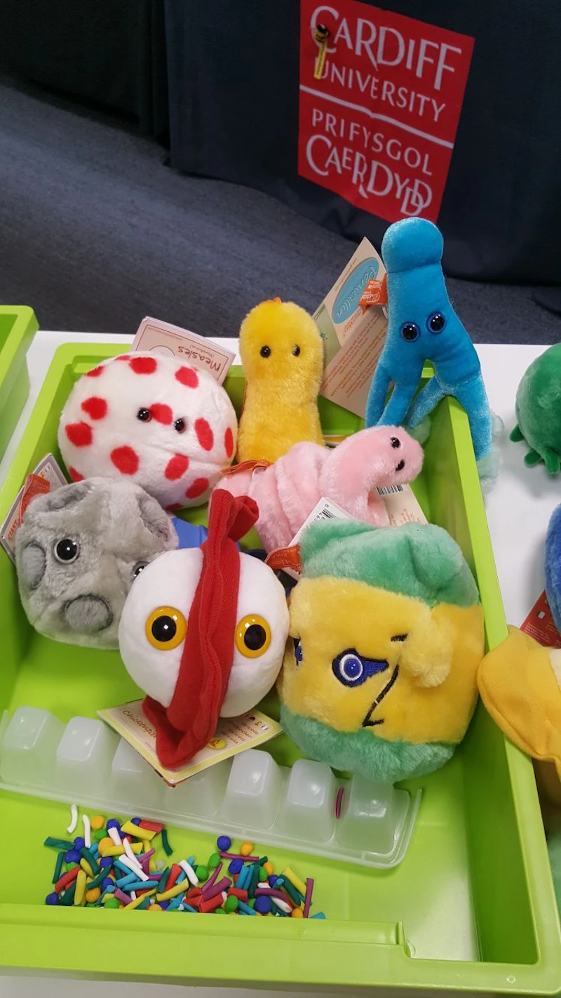 fury microbes
