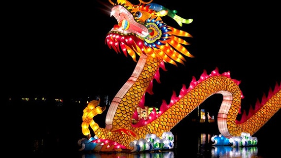 Chinese Dragon