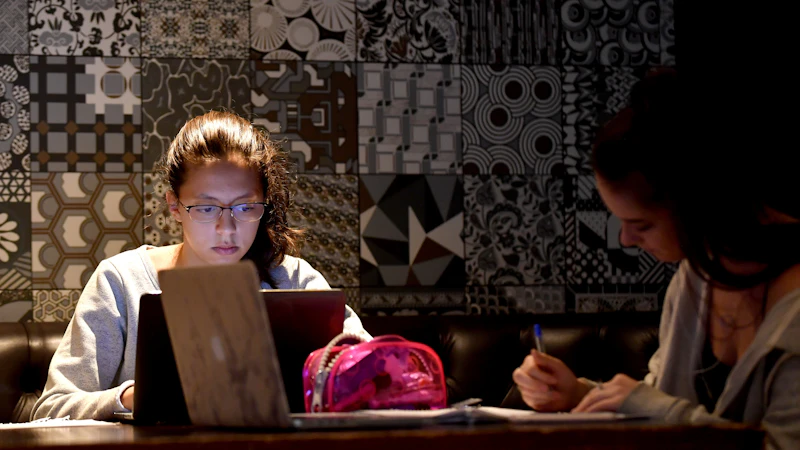 Students using laptops