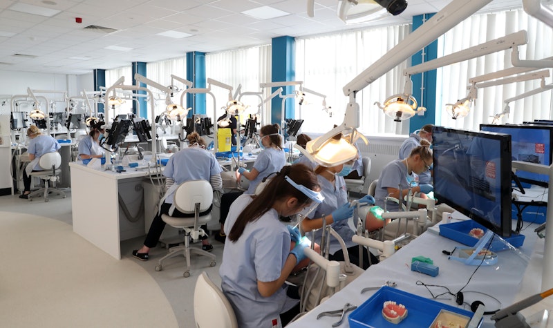 Dentistry Study Cardiff University