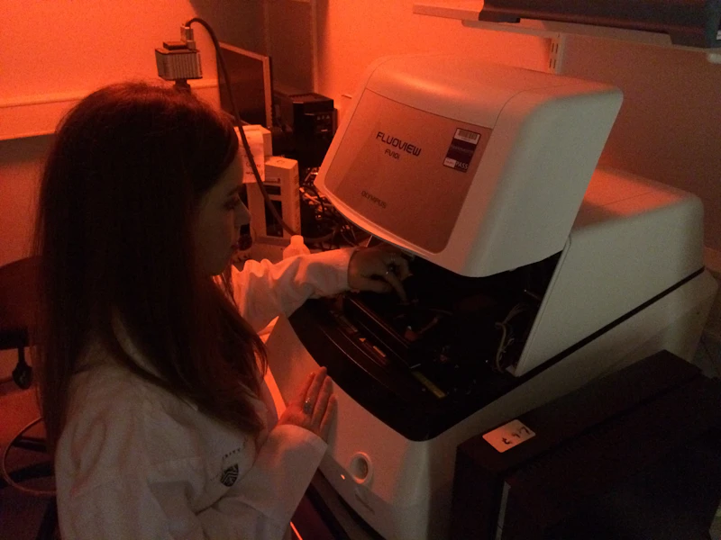 Olympus Fluoview live cell imaging confocal microscope