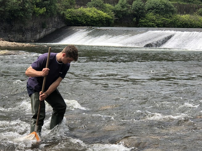 Student completing kick-sampling in a river