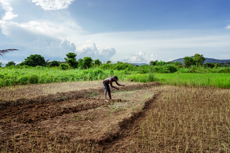 Expanding farming capabilities will not close Africa’s ‘hidden hunger’ gaps