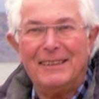Dr David Badcott