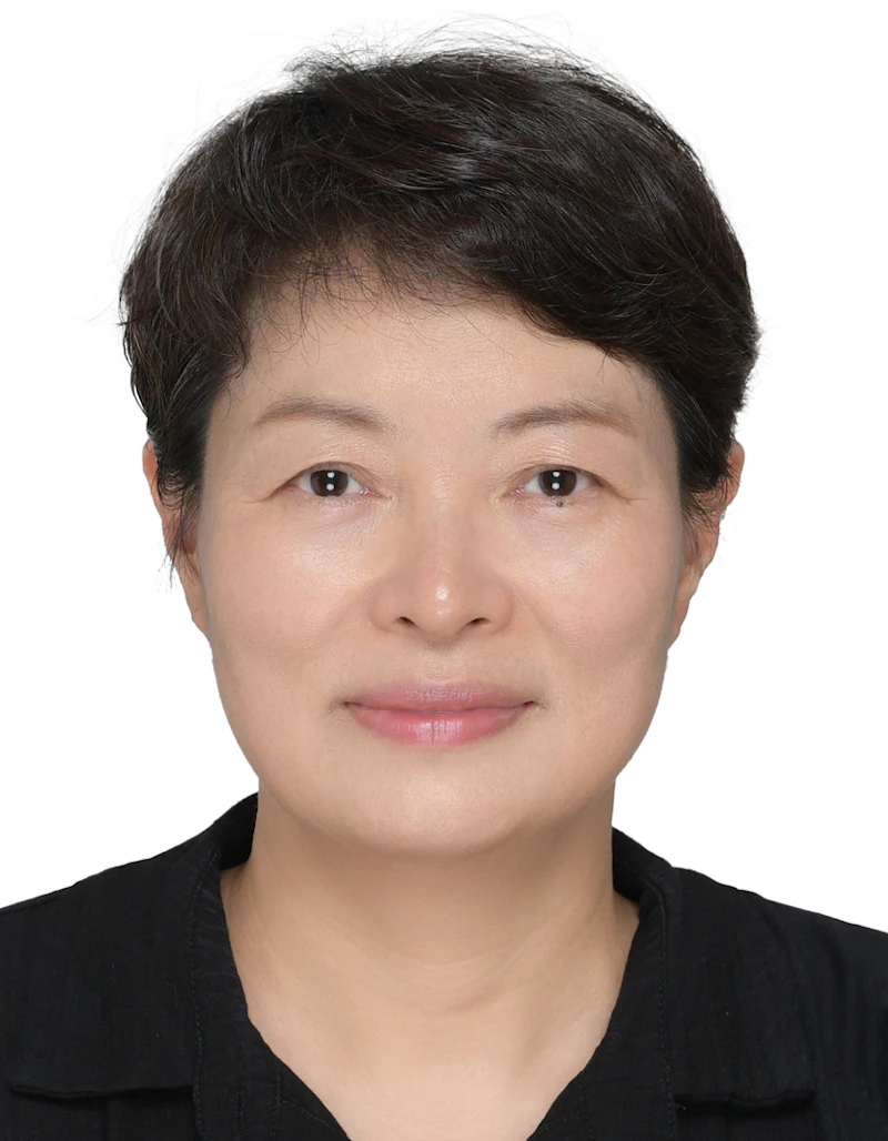 Professor Langlang Wang