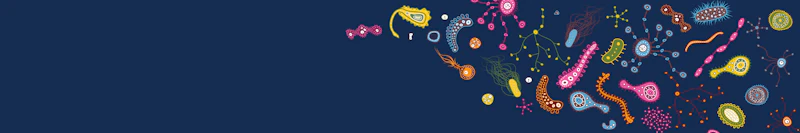 Systems Immunity Research Institute