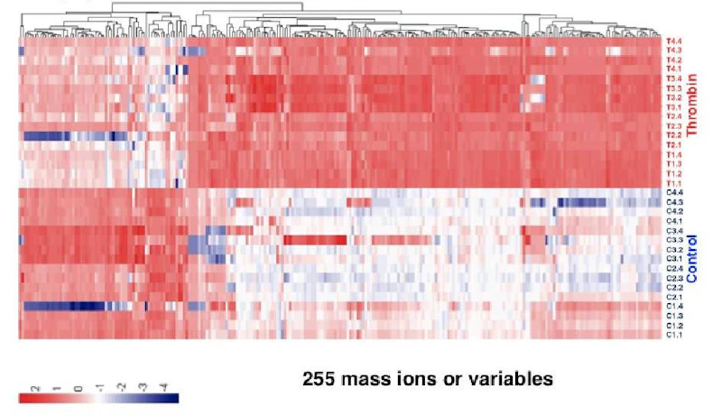 Discovery of new lipid mediators using high resolution LC/MS/MS and bioinformatic approaches