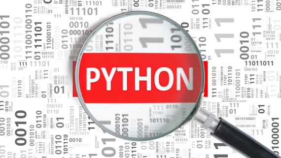 Python software development