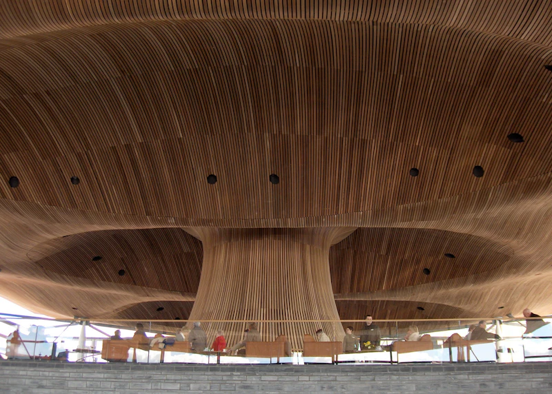 Senedd