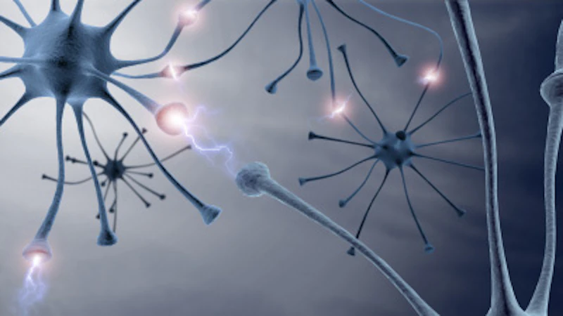Neural cells