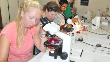 Identification of zooplankton in water samples on Samos