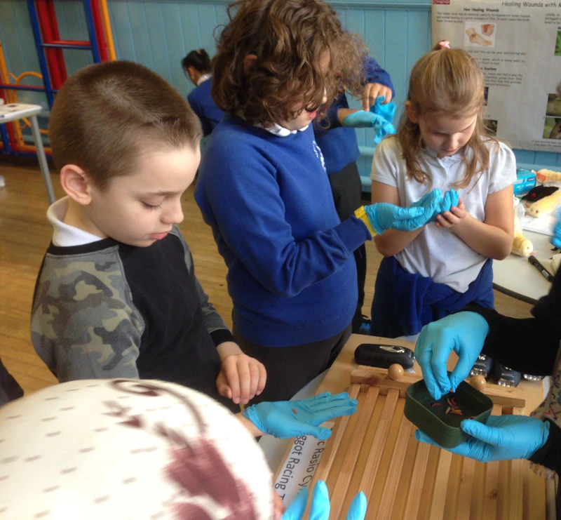 children holding maggots