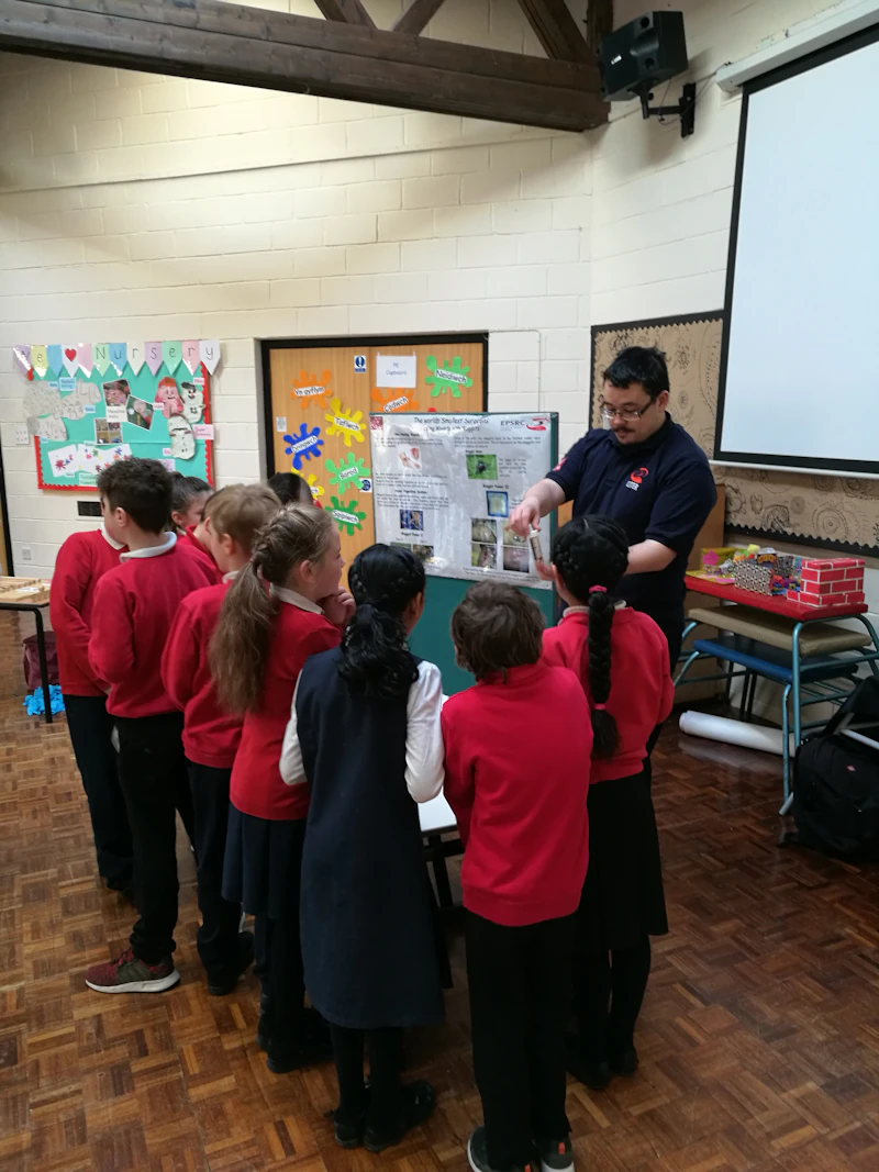 maggot presentation
