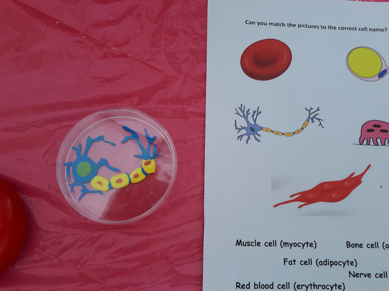 cell a
