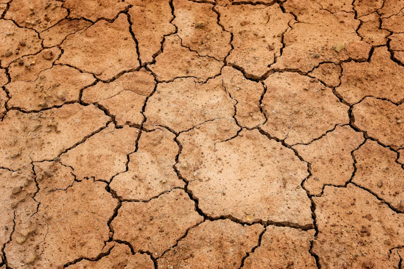 Drysoil