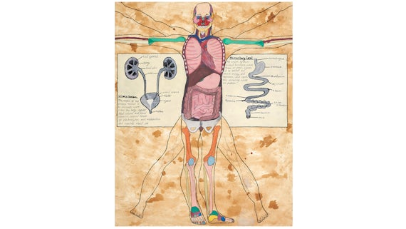 Vitruvian man inspired depiction of donated bodies to medical science