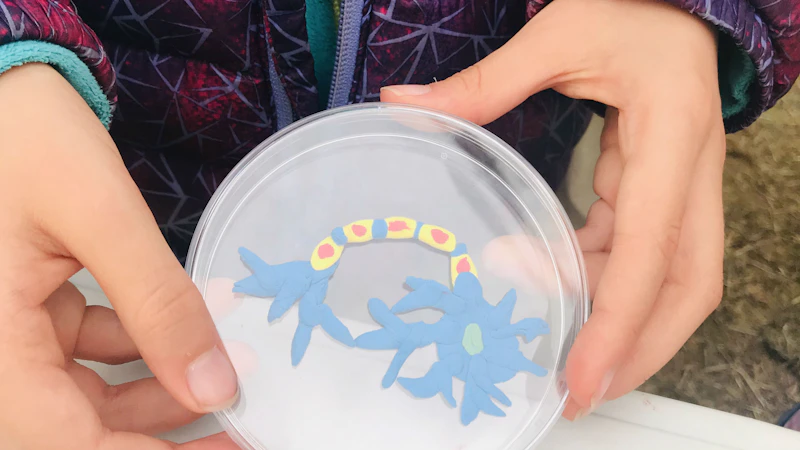 cell creation 4