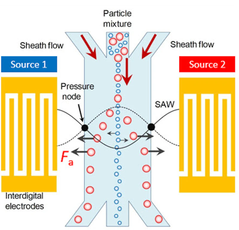 Medical Electronics: Biological cells actuated by the pressure nodes produced by the standing surface acoustic waves.