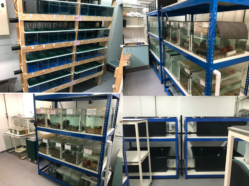 FishlabJoCable
