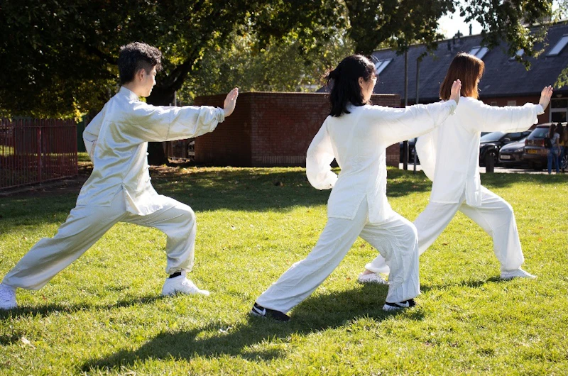 Tai Chi in Roath Park
