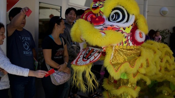 Traditional Chinese Lion Dance to celebrate the New Year