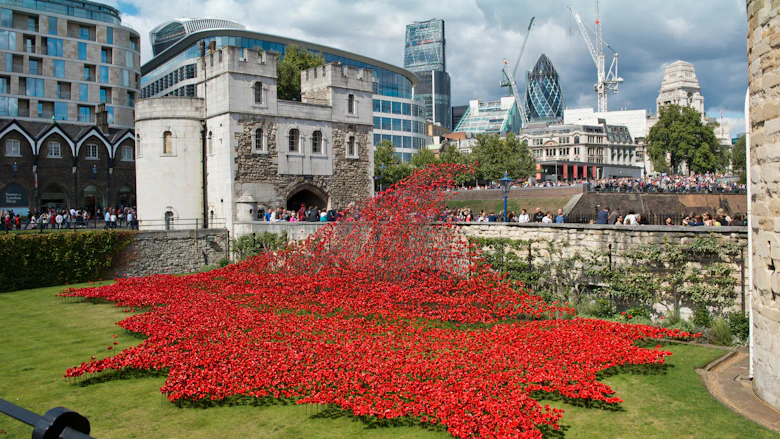 Thousands of ceramic poppies fill the moat of the Tower of London.