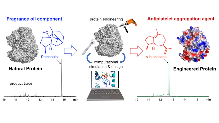 Major advance in designer protein engineering - News - Cardiff University