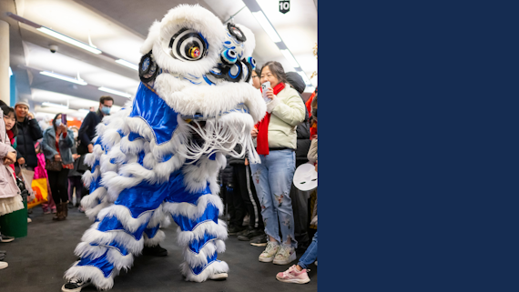 Image of a Chinese Lion in blue and white entertaining a crowd of people