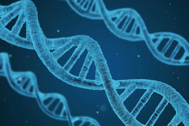 A graphic showing three stands of dna in blue.