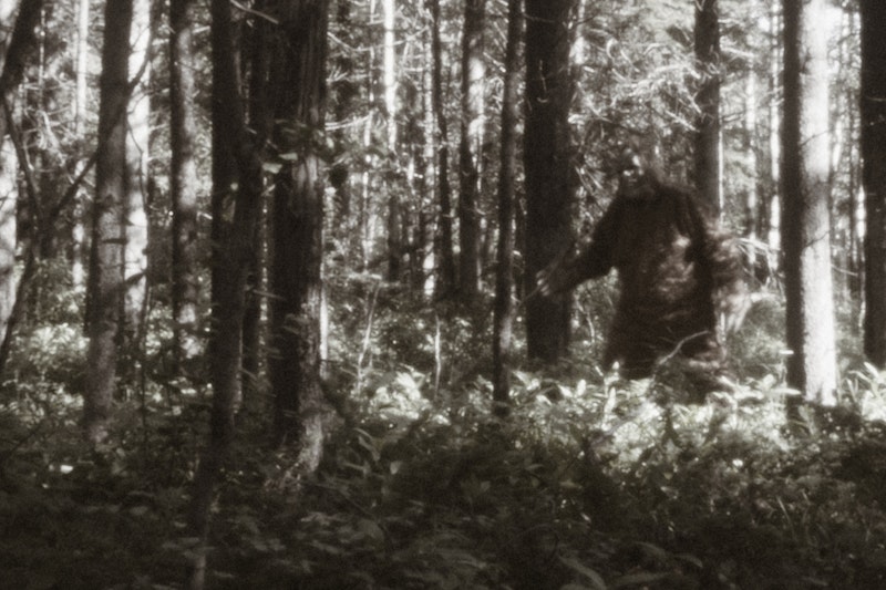 In pursuit of Bigfoot: The people searching for the truth behind the mystery