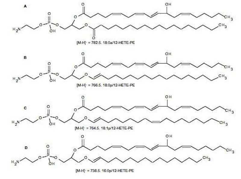 Esterified Eicosanoids in innate immunity