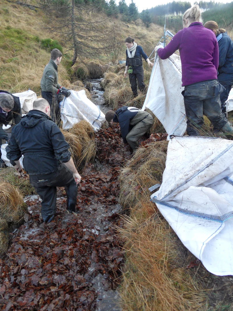 Team of researchers adding leaves to a stream as part of an experiment