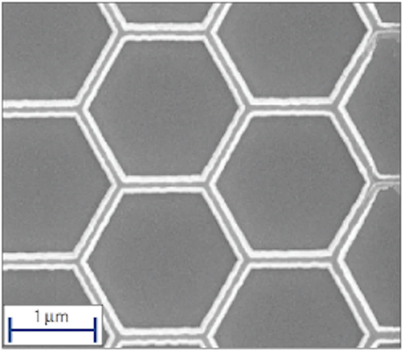 Scanning electron micrograph
