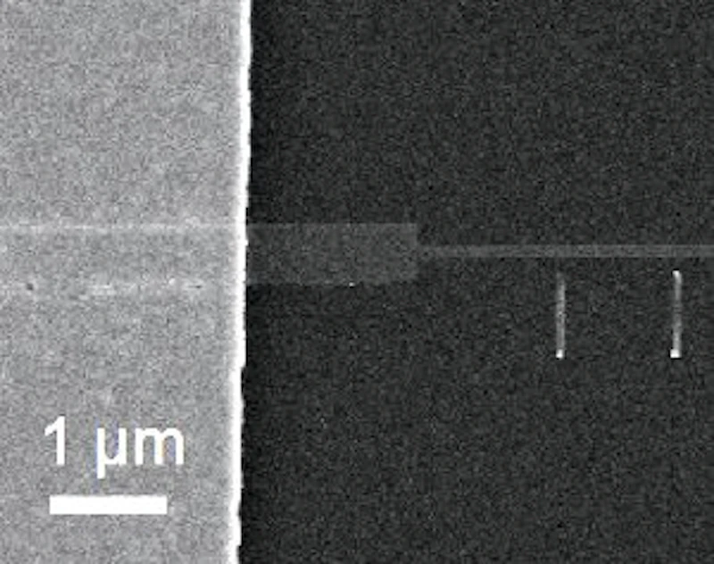 Scanning electron micrograph