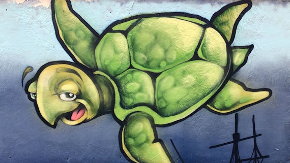 Nursery mural turtle