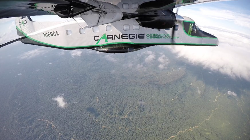 Airbourne Lab flying over Bornean jungle