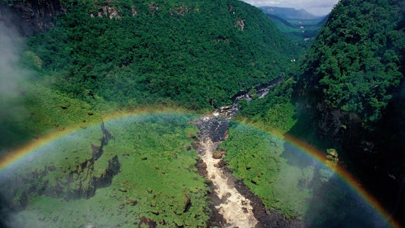 Kaieteur Falls Rainforest - Guyana