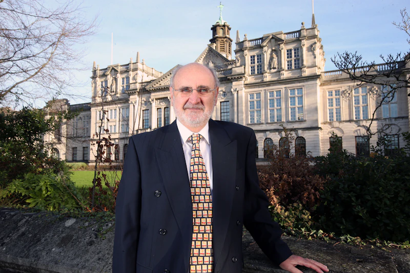 Professor Stuart Palmer 