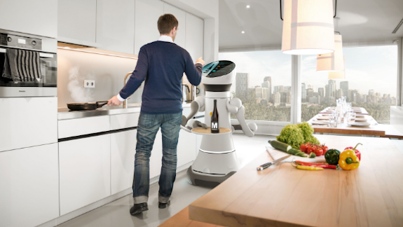 Artificial Intelligence and Robotics