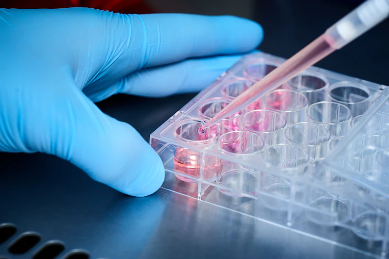We are constantly striving to make important discoveries that help to shape the future of health and well-being in society.