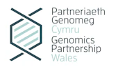 Professor Stephen Riley - People - Cardiff University