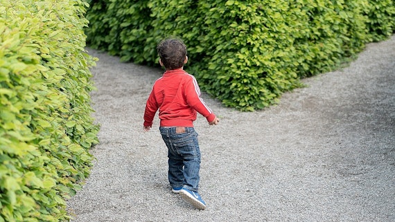 Photo of child at forking paths in a maze of hedges. Llun o blentyn yn wynebu llwybrau fforchio mewn drysfa o wrychoedd.