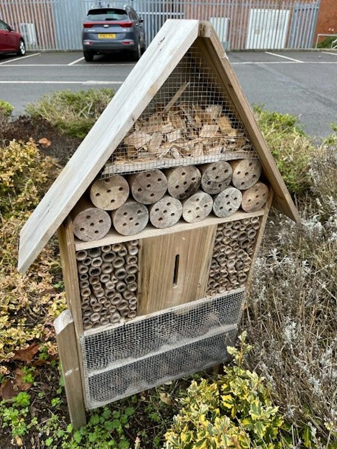  An image of an insect hotel