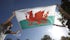 Welsh flag with students