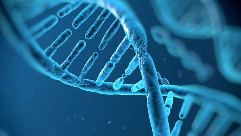 DNA Molecules