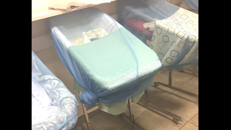 babies in cots