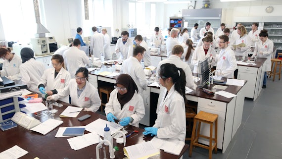 Students in an undergraduate laboratory session.
