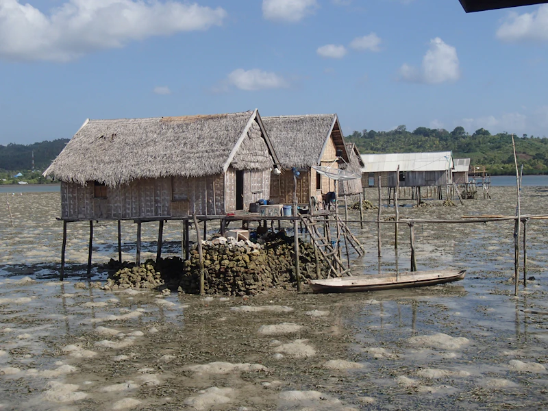 coastal house with seagrass