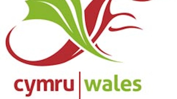 Commonwealth Welsh logo