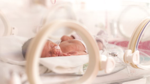 Newborn baby in incubator